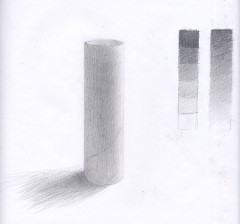 トイレットペーパーの芯