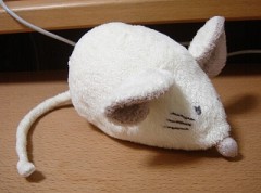 Re: �l�Y�~�̂ʂ������