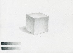 ���ō����������