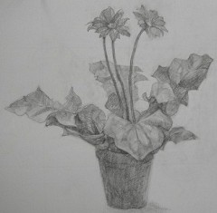 �͂��߂Ă̓��e�ł�