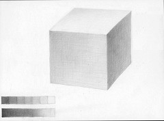 立方体10