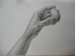 茶色い卵を持った手