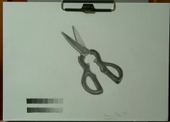 �L�b�`���n�T�~