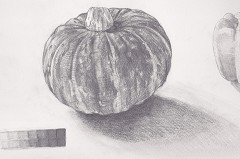 ���ڂ���