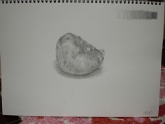 ���Ⴊ����