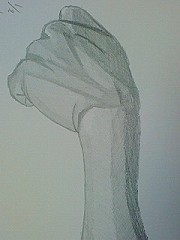 ��̃f�b�T��