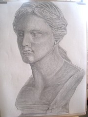 �~���̃��B�[�i�X�i�t���j