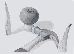 ���Ƃƃg�}�g�ƃS���t�{�[���ƃA���G