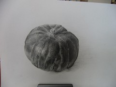 ���ڂ���