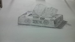 ���̃e�B�b�V��