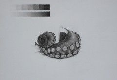 ��Ń_�R���H�p