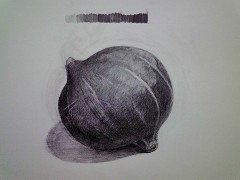 ���ڂ���