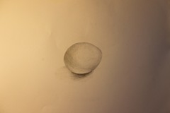 ���܂��T��