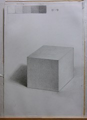 �΍p�􉽌`�̗�����