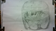 ���̓����Ă锼���ɐ؂����y�b�g�{�g��