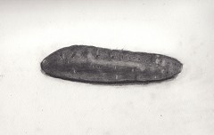 ���܂���