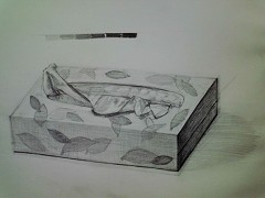 �e�B�b�V���̔�